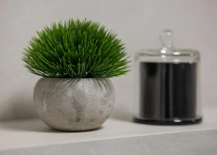 Apartament Piękne Studia Dla 3 Osób&parking By Renters